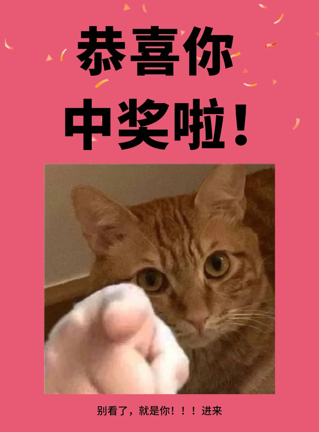 澳洲海运99元12kg