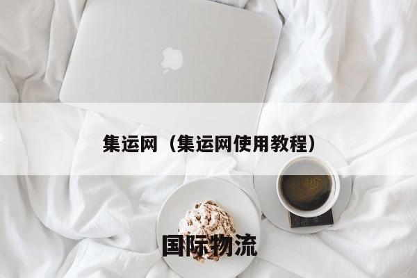 集运网（集运网使用教程）