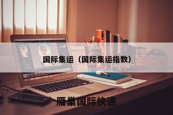 国际集运（国际集运指数）