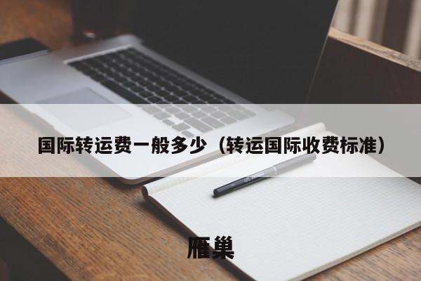 国际转运费一般多少（转运国际收费标准）