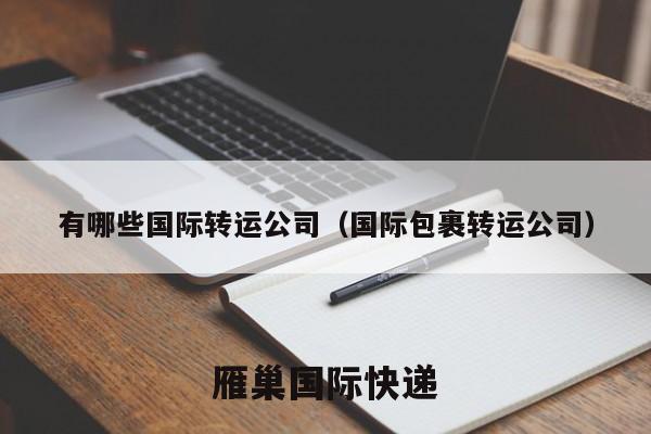 有哪些国际转运公司（国际包裹转运公司）