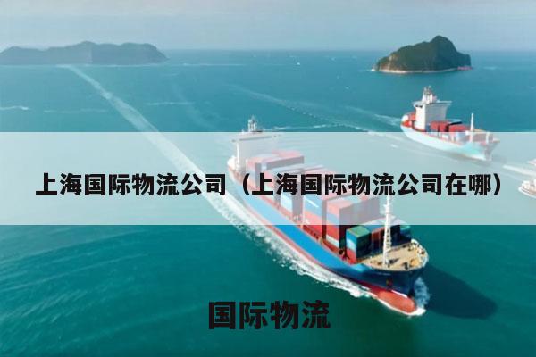 上海国际物流公司（上海国际物流公司在哪）
