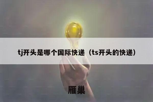 tj开头是哪个国际快递（ts开头的快递）
