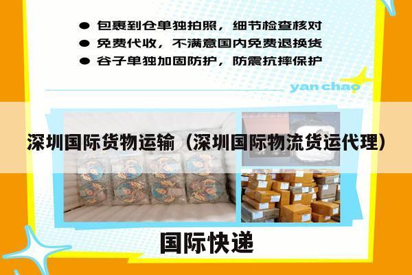 深圳国际货物运输（深圳国际物流货运代理）