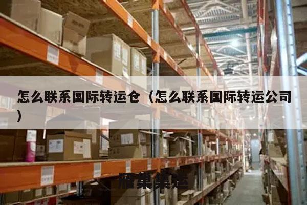 怎么联系国际转运仓（怎么联系国际转运公司）