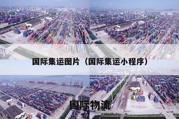 国际集运图片（国际集运小程序）