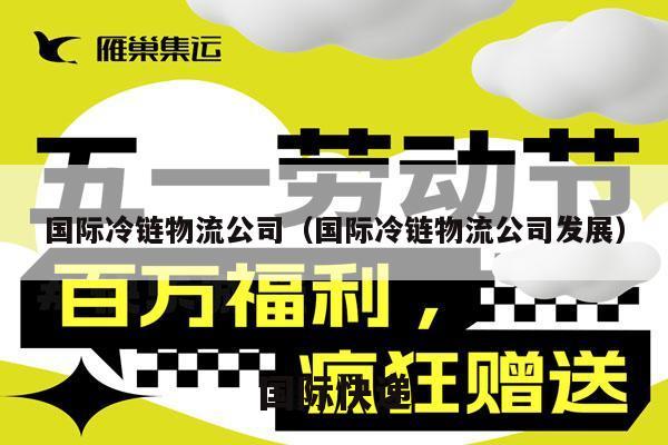 国际冷链物流公司（国际冷链物流公司发展）