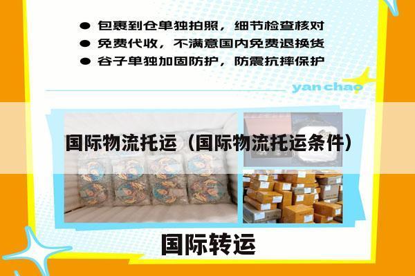 国际物流托运（国际物流托运条件）