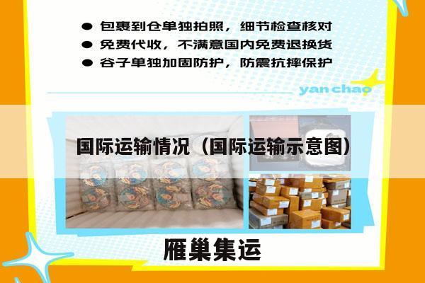 国际运输情况（国际运输示意图）