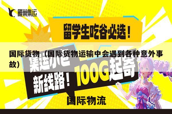 国际货物（国际货物运输中会遇到各种意外事故）
