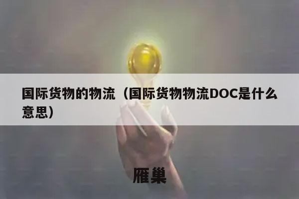 国际货物的物流（国际货物物流DOC是什么意思）