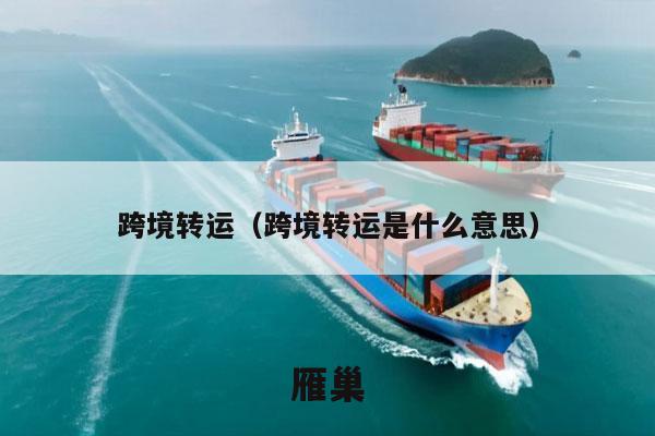跨境转运（跨境转运是什么意思）