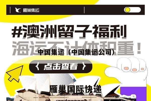 中国集运（中国集运公司）