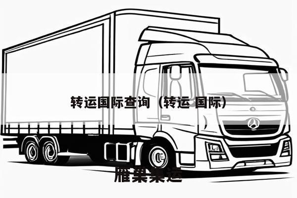 转运国际查询（转运 国际）