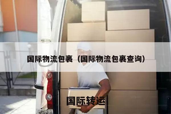 国际物流包裹（国际物流包裹查询）