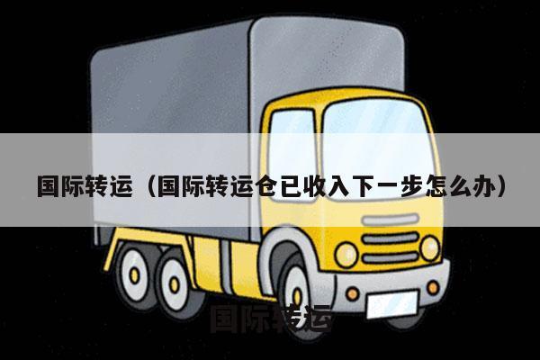 国际转运（国际转运仓已收入下一步怎么办）