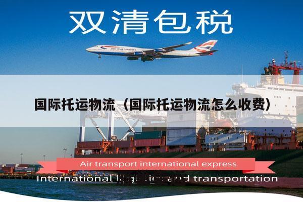 国际托运物流（国际托运物流怎么收费）