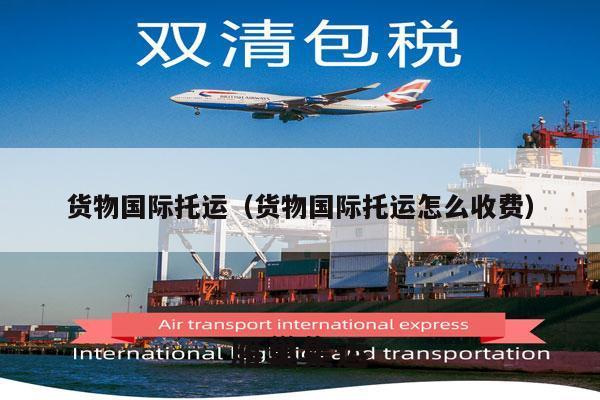 货物国际托运（货物国际托运怎么收费）