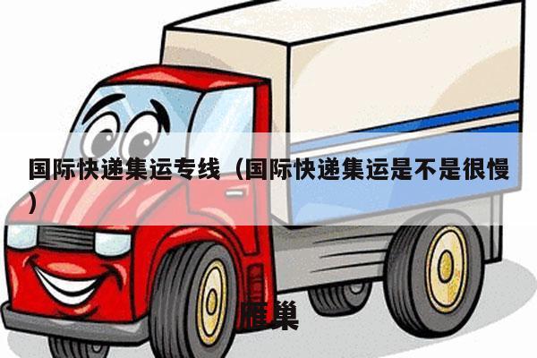 国际快递集运专线（国际快递集运是不是很慢）