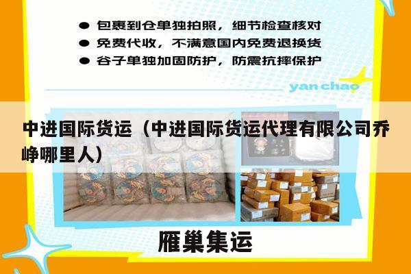 中进国际货运（中进国际货运代理有限公司乔峥哪里人）