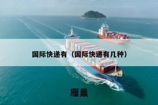 国际快递有（国际快递有几种）