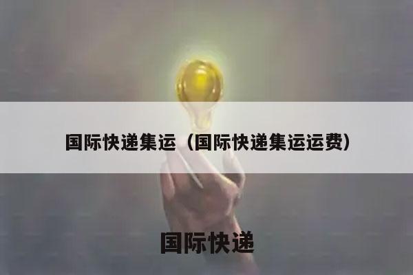 国际快递集运（国际快递集运运费）