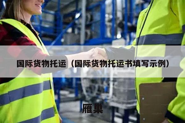国际货物托运（国际货物托运书填写示例）