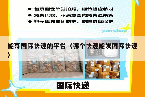 能寄国际快递的平台（哪个快递能发国际快递）