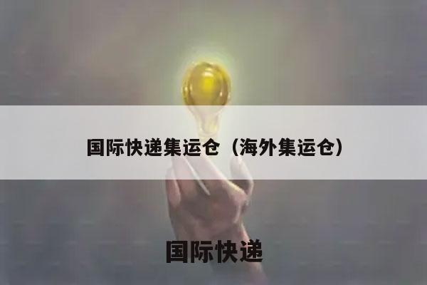 国际快递集运仓（海外集运仓）