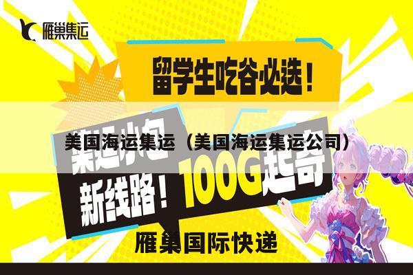 美国海运集运（美国海运集运公司）