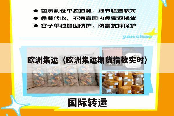 欧洲集运（欧洲集运期货指数实时）