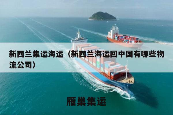 新西兰集运海运（新西兰海运回中国有哪些物流公司）