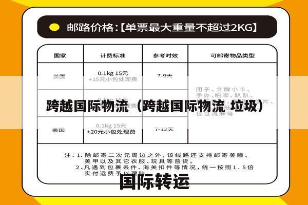 跨越国际物流（跨越国际物流 垃圾）