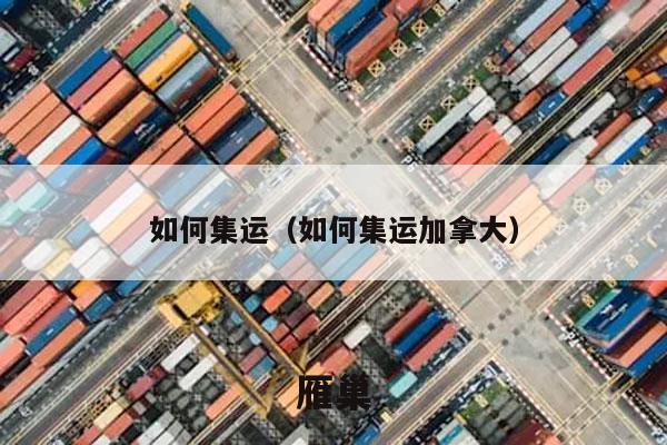 如何集运（如何集运加拿大）