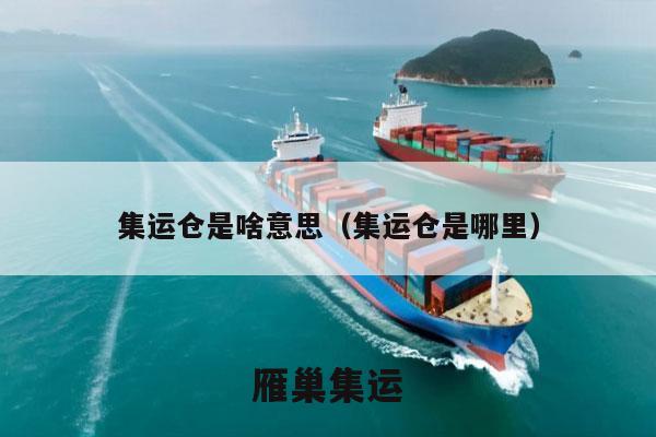 集运仓是啥意思（集运仓是哪里）