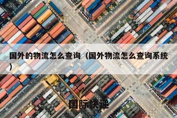 国外的物流怎么查询（国外物流怎么查询系统）