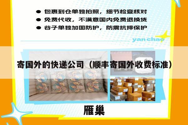 寄国外的快递公司（顺丰寄国外收费标准）