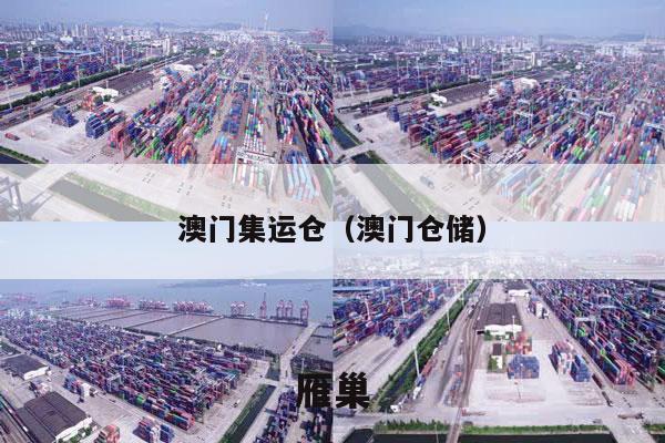 澳门集运仓（澳门仓储）