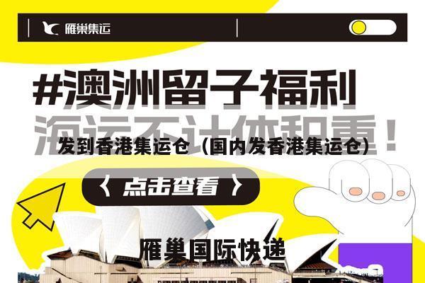 发到香港集运仓（国内发香港集运仓）