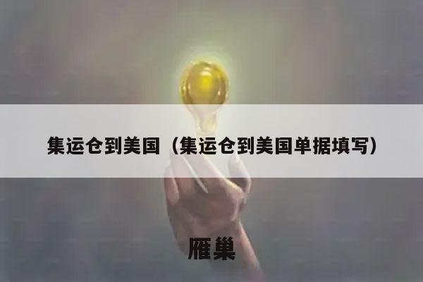 集运仓到美国（集运仓到美国单据填写）