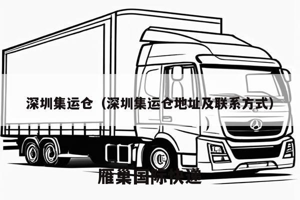 深圳集运仓（深圳集运仓地址及联系方式）