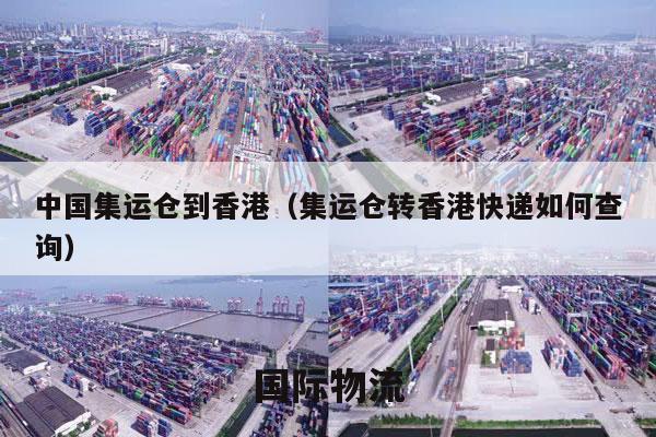 中国集运仓到香港（集运仓转香港快递如何查询）