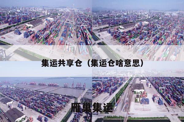 集运共享仓（集运仓啥意思）