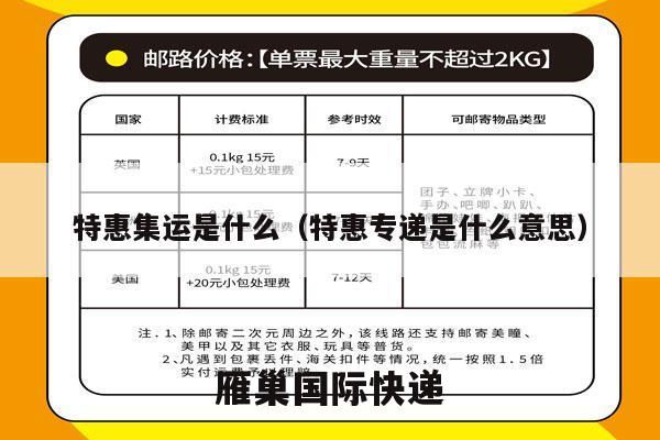 特惠集运是什么（特惠专递是什么意思）