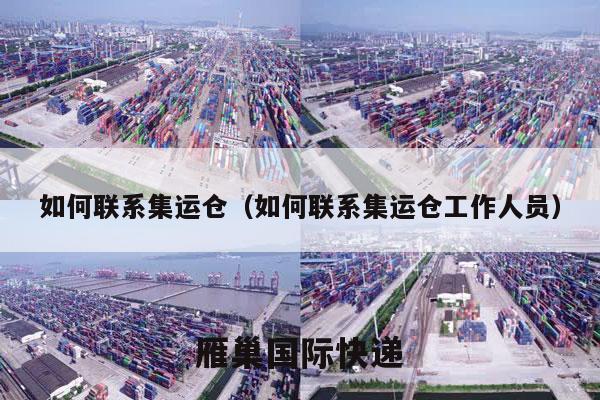 如何联系集运仓（如何联系集运仓工作人员）