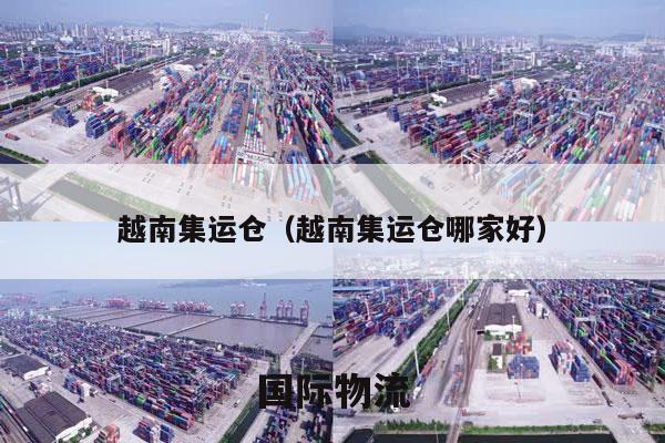 越南集运仓（越南集运仓哪家好）