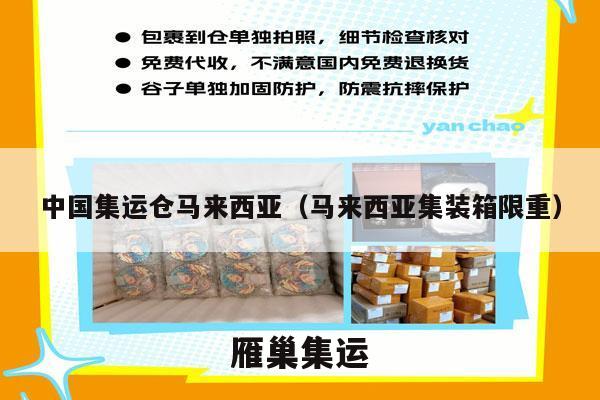 中国集运仓马来西亚（马来西亚集装箱限重）