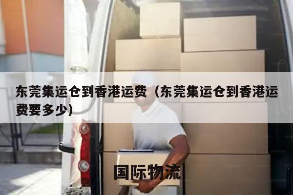 东莞集运仓到香港运费（东莞集运仓到香港运费要多少）