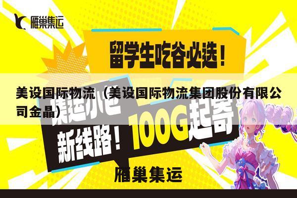 美设国际物流（美设国际物流集团股份有限公司金晶）