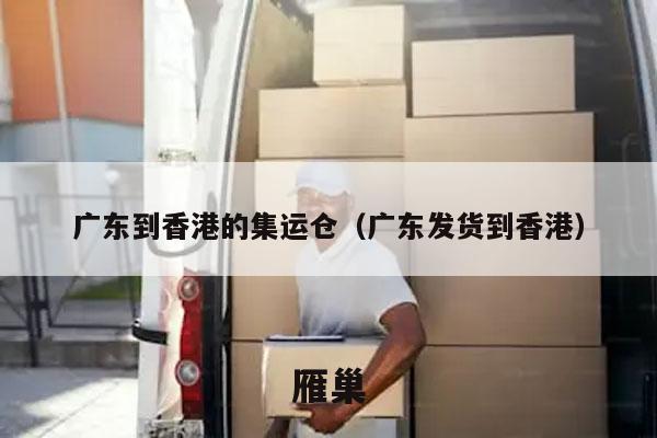 广东到香港的集运仓（广东发货到香港）